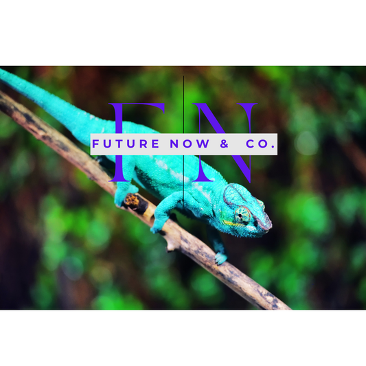 Youtubers, Influencers, Content creators journey. How to innovate and win in your field.